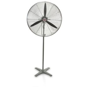 FANMASTER Pedestal Fan 600mm 3 Speed 240V