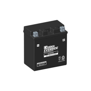 CENTURY Everride YTZ7V Hi Performance AGM Motorcycle & Powersport Batteries