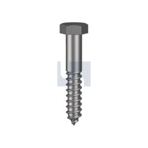 HOBSON Hex Coach Screw Hdg As1393 4.6M10 X 100