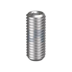 HOBSON Socket Grubb Screw Hex 304 Din916  M16 X 35
