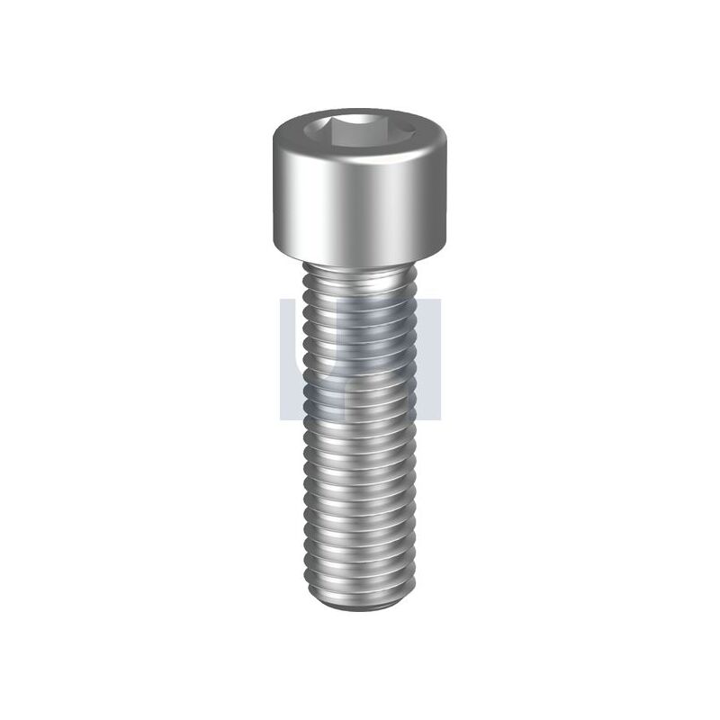 HOBSON Socket Head Cap Screw 304 10-24Unc X 1/2