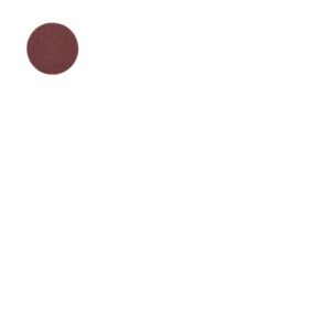NORTON Tr (Type 3) Disc 51mm Aluminium Oxide P80 Norton Speed-Lok Discs